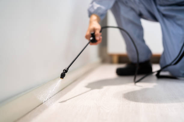 Rodent Entry Point Assessment in Novato