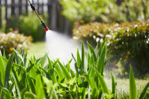 Tamper-Resistant Bait Stations for Rodents in Novato
